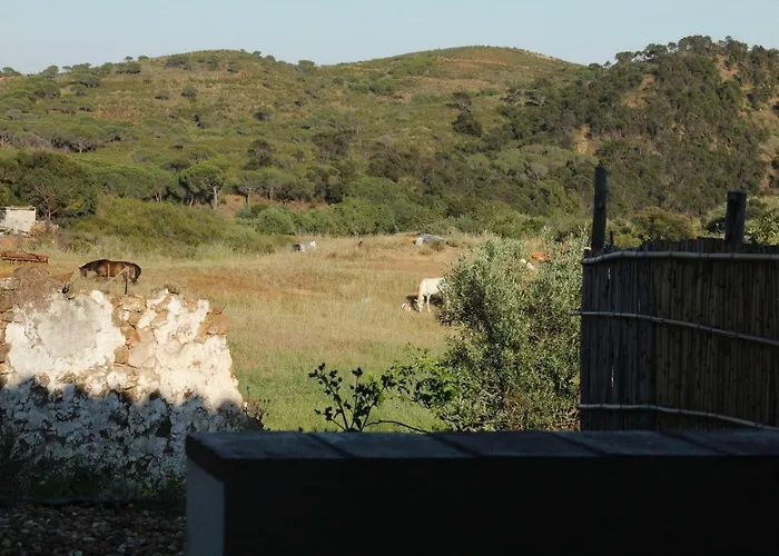 Nocleg ze śniadaniem Casa Paz Do Barrocal Currais Boieiros