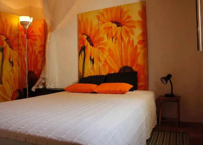 Casa Paz Do Barrocal Currais Boieiros