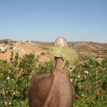 Casa Paz Do Barrocal Alojamento de Acomodação e Pequeno-almoço *