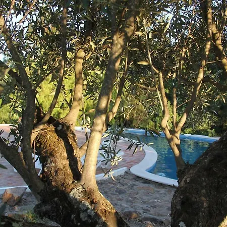 Casa Paz Do Barrocal Bed & Breakfast *