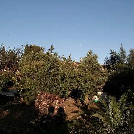 Casa Paz Do Barrocal Bed & Breakfast